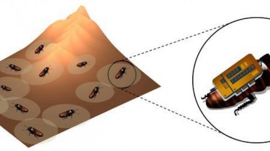 Desarrollan en Estados Unidos software usando insectos robots para recabar información. EFE