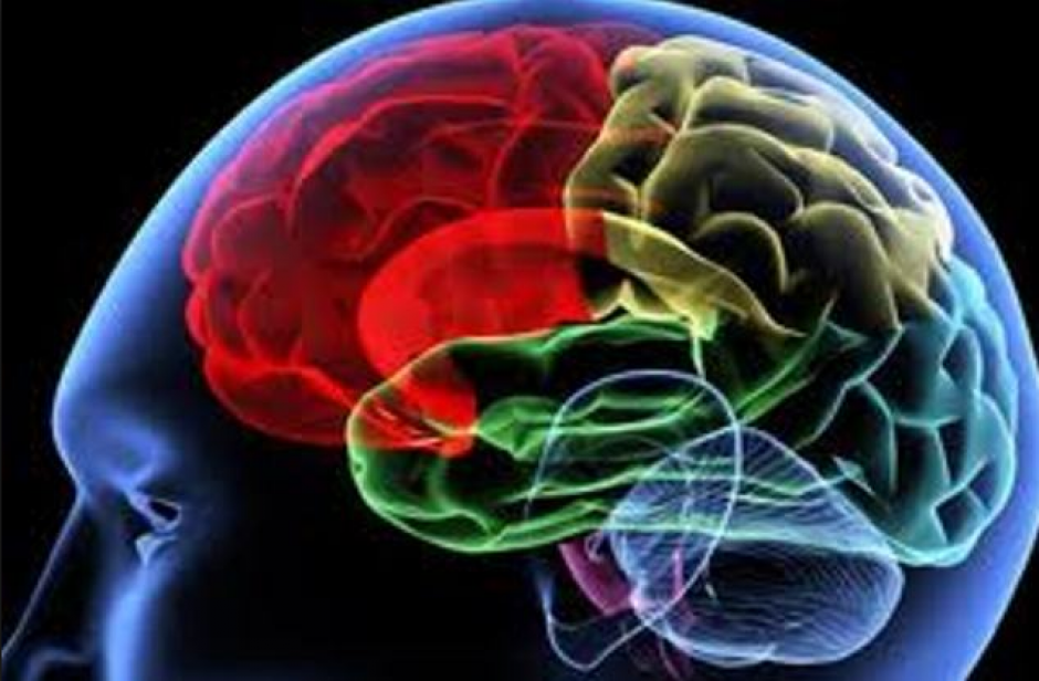 La falta de ejercicio, acelera el envejecimiento cerebral.