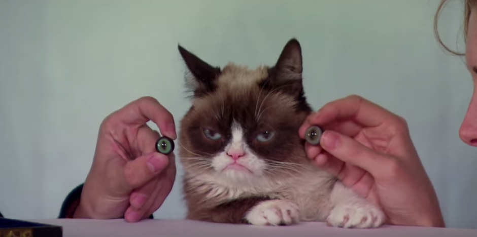 El gato más famoso del internet, Grumpy Cat, tendrá su propia réplica en el Museo Madame Tussauds. (Foto: Captura de YouTube)