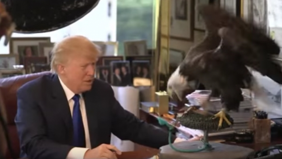 Durante una sesión de fotos, un águila calva, el ave representativa de Estados Unidos, atacó al precandidato presidencial Donald Trump. (Foto: YouTube) 