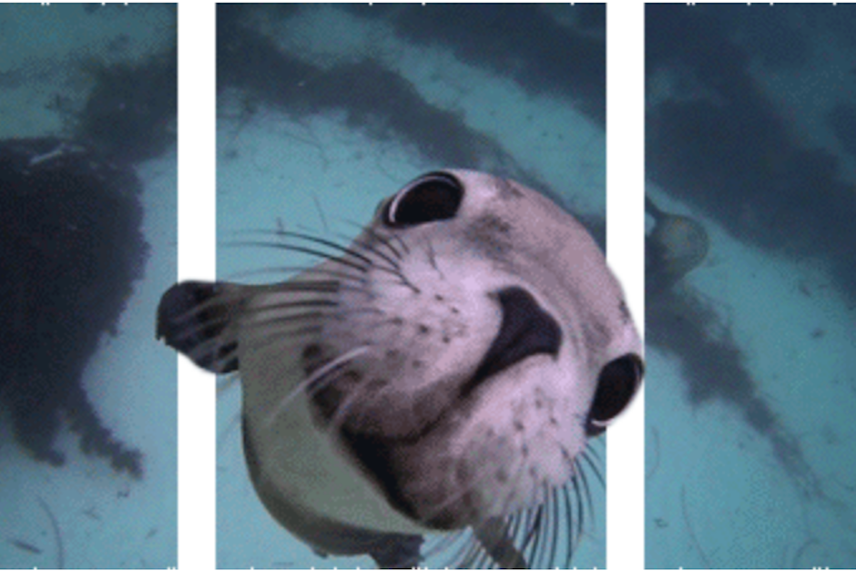 La red social Reddit ha hecho popular los gifs en 3D. (Foto: techinsider.io)