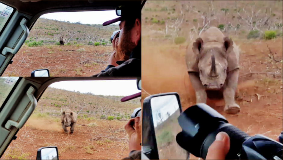 El fotógrafo realizaba tomas cuando de pronto el animal lo ataca. (Foto: Captura de YouTube) 