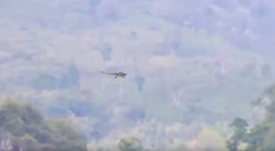 Las imágenes de un supuesto dragón volando sobre una zona montañosa de China circula en redes sociales. (Captura de pantalla: YouTube/ApexTV)