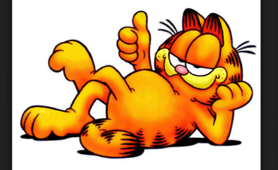 El género del famoso gato causó controversia en Internet. (Foto: Pinterest.com) 