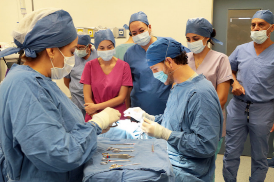 Las jornadas se desarrollarán entre marzo y abril. (Foto: Archivo/esdiario.com)