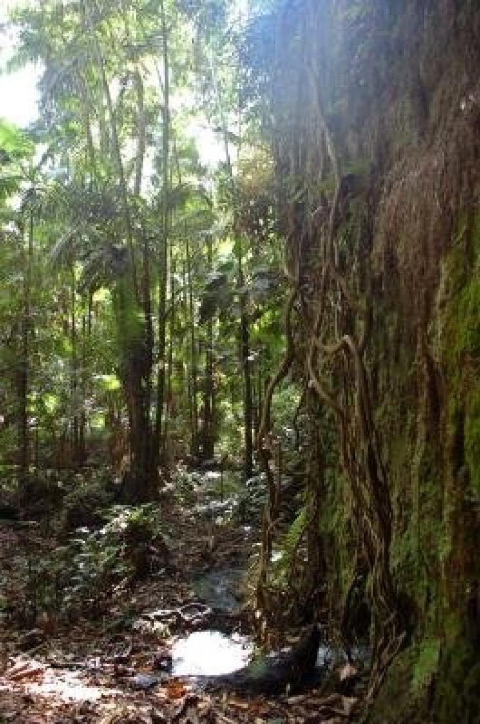 El satélite chino-brasileño CBERS-3, que será usado en la observación remota de la Amazonía. (Foto: EFE/Archivo)