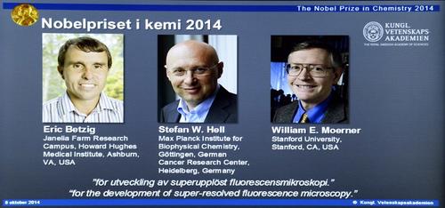 El equipo ganador del Nobel de Qu&iacute;mica 2014.