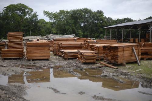 Tablas de madera ya procesada de los productos del bosque. (Foto: Johan Ord&oacute;&ntilde;ez/AFP)