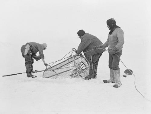 En la imagen, se muestra a algunos integrantes de la expedici&oacute;n pescando con una jaula luego de abrir el hielo. (Foto: Antarctic Heritage Trust).