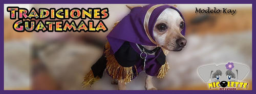 Los trajes de cucurucho pueden ser fabricados para todo tama&ntilde;o de perros. (Foto Flor Garc&iacute;a)