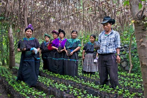 Se ha logrado capacitar a los pobladores del lugar en mejorar sus prácticas agrícolas, así como a la reforestación de más de 14 hectáreas. (Foto: FCC)