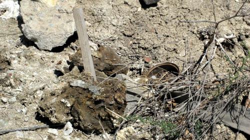 Restos humanos encontrados en una finca de El Pozolero. 