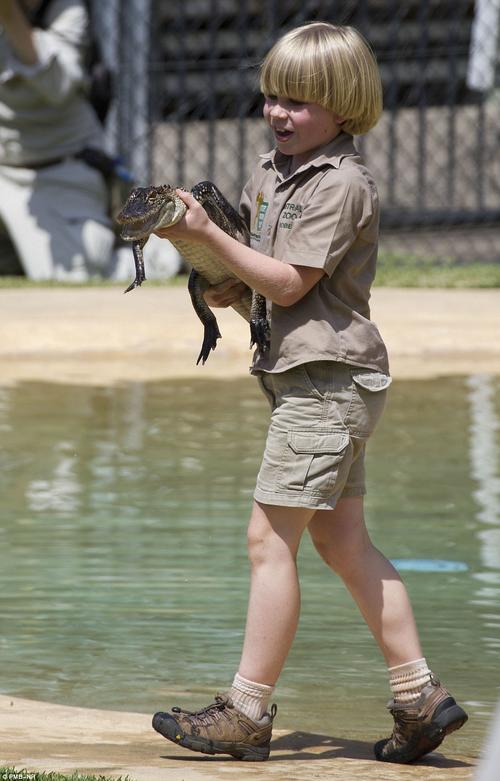 El ni&ntilde;o tiene contacto con animales salvajes. 