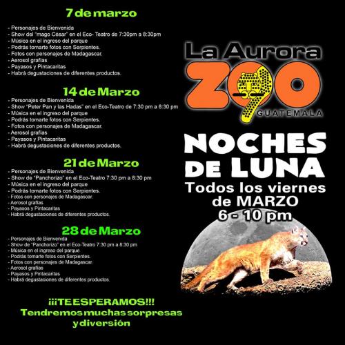 El itinerario de las actividades en las Noches de Luna en el Zoo. (Foto: Facebook)