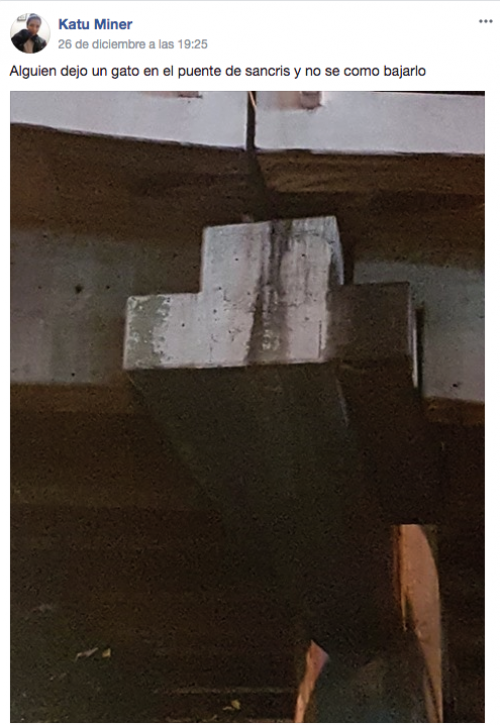 Así publicaron en grupos de Facebook sobre el animal. (Foto: captura de pantalla) 