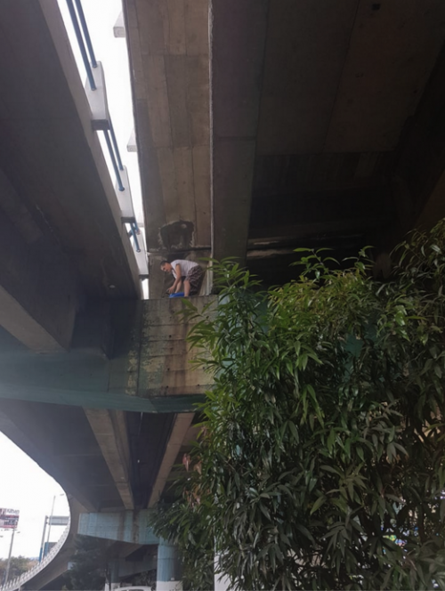 Más personas intentaron bajar al gatito. (Foto: Captura de pantalla) 
