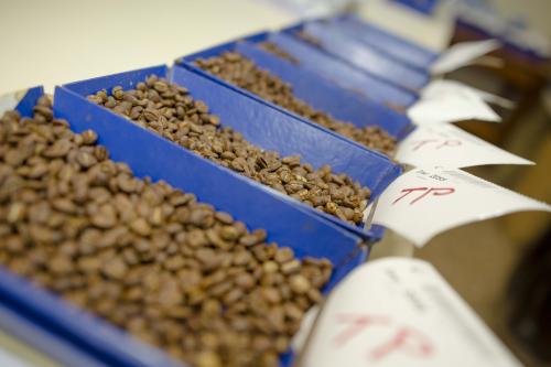 Cientos de muestras de distintos caficultores son recibidas en Anacaf&eacute; para su control de calidad. (Foto: George Rojas/Soy502)