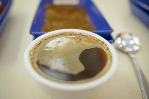 Los catadores de Anacaf&eacute; ponen a prueba cientos de muestras provenientes de las 8 distintas regiones del pa&iacute;s. (Foto: George Rojas/Soy502)