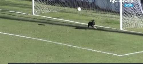 De no haber parado este gol el marcador habr&iacute;a sido 4-0. (Foto:Youtube)