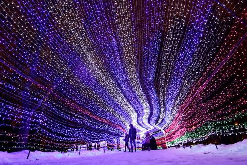 Una escultura de luces en Minsk, Belar&uacute;s (Foto: Infobae)