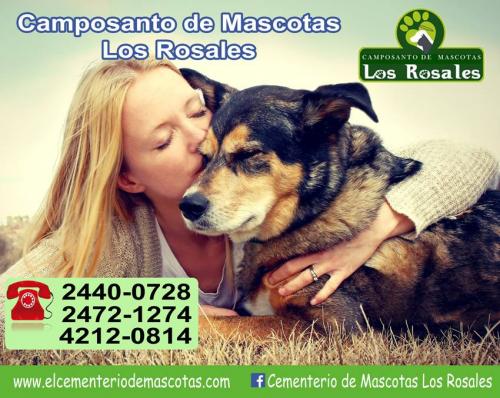 Camposanto de Mascotas Los Rosales. (Foto: Los Rosales) 