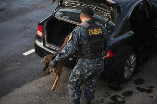 Los perros buscan algún ilícito en cada vehículo. (Foto: Mingob)