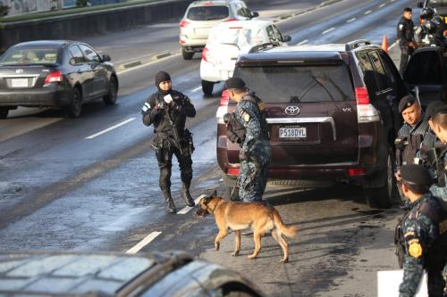 Ziko es especialista en localizar drogas, armas y explosivos. (Foto: Mingob)