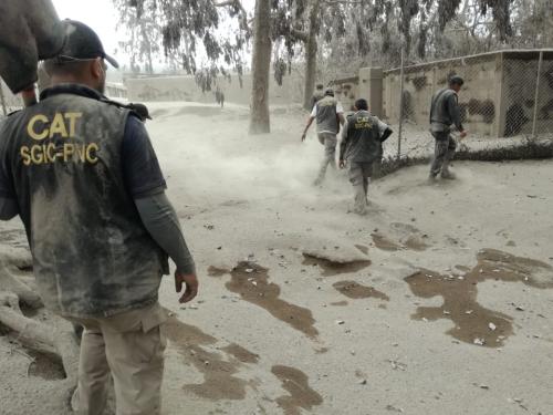 Elementos de la Polic&iacute;a ingresaron a otra &aacute;rea afectada. (Foto: PNC) 