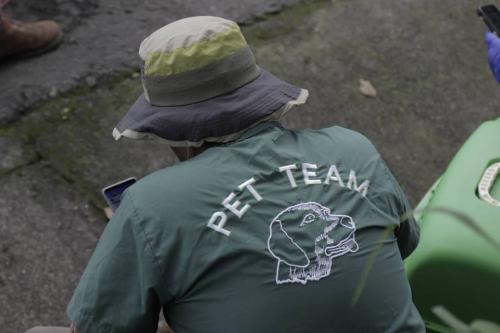 Especialistas donaron su tiempo para ayudar a los animales.  (Foto: Alejandro Bal&aacute;n/Soy502)