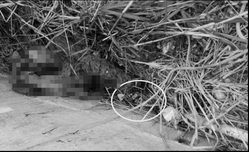 En el lugar quedó un presunto sicario fallecido junto a un arma de fuego.  (Foto: captura pantalla) 