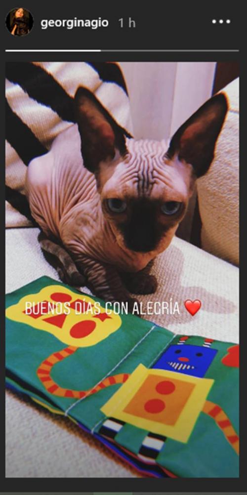 Georgina Rodríguez presentó a la nueva mascota de la familia. (Foto: Instragram)