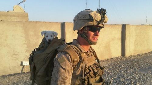 Long fue un marine de las tropas en Afganist&aacute;n -durante siete meses en 2011- (Foto: TMZ)