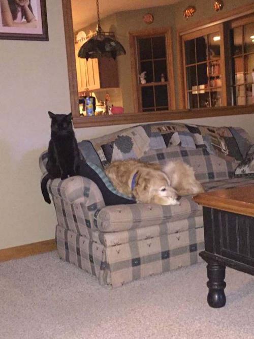 Pasaron muchos a&ntilde;os juntos. (Foto: Emma Catanzarite)