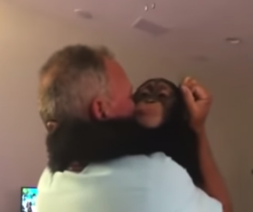 El momento que se reencuentra con ellos. (Foto: Twitter)