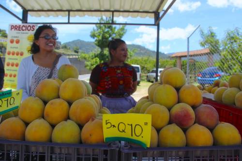 El huerto San Mart&iacute;n vende algunos de sus productos a la orilla de la carretera Interamericana y en mercados. Los de tema&ntilde;o Jumbo son los que debes llevar a casa. (Foto: Fredy Hern&aacute;ndez/Soy502)