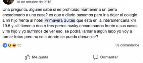 Esta fue la primera publicaci&oacute;n en redes sociales sobre ese tema. (Foto: captura pantalla) 