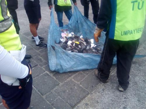 Los cuerpos de las palomas fueron recogidos para ser depositados en la basura. (Foto: Municipalidad de Guatemala)
