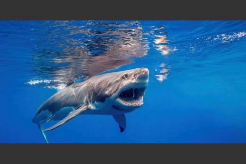 Foto: Archivo Soy502