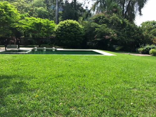 Vista de la piscina que se encuentran en la propiedad de Luis Rodrigo Sinibaldi. (Foto: MP) 