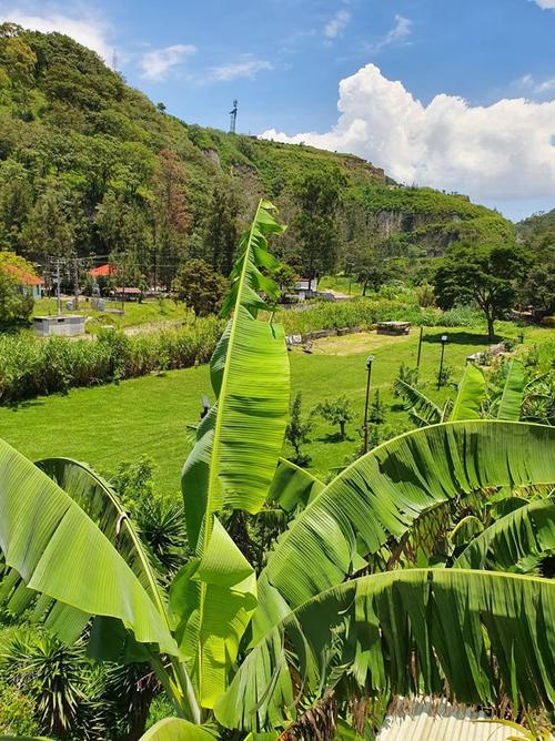 En esta &aacute;rea argumenta Francisco Portillo que vive en peque&ntilde;o pony. (Foto: cortes&iacute;a) 