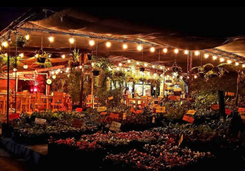 (Fotograf&iacute;a: @coffeeroomgt)