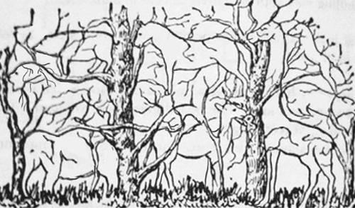 Fija tu mirada unos 5 segundos, &iquest;qu&eacute; ves? (Foto facebook)