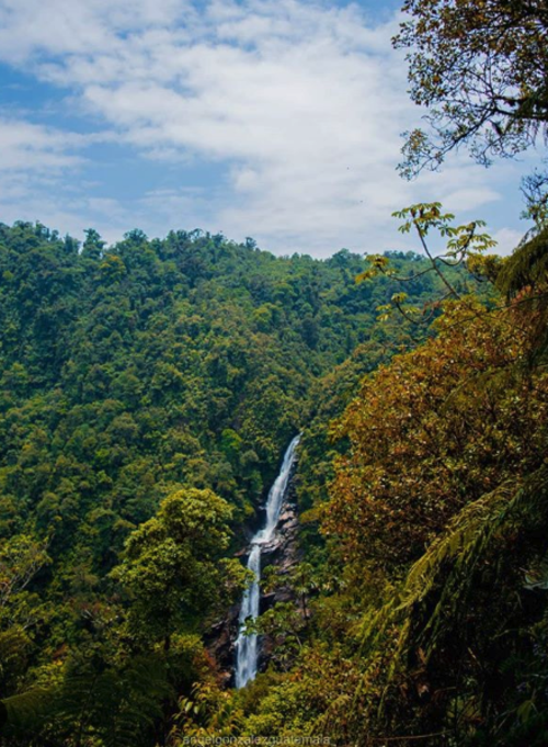 (Fotograf&iacute;a: @angelgonzalezguatemala)