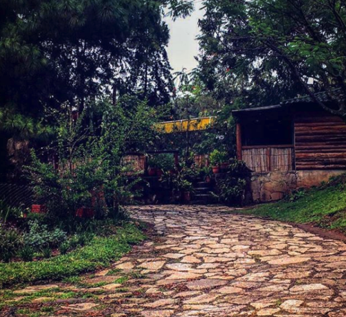 (Fotograf&iacute;a: @jacarandasdecayalagt)