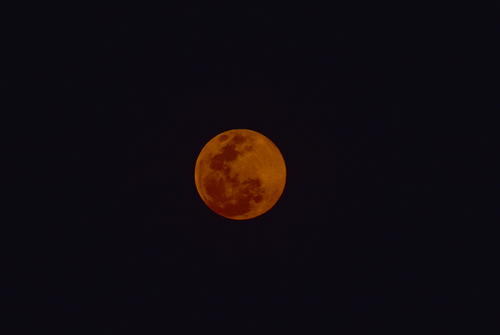 La Luna ya se encuentra en el firmamento y es admirada por los amantes del satélite. (Foto: Fredy Hernández/Soy502)
