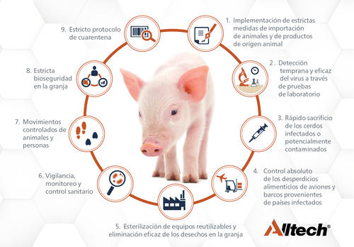 Pasos para prevenir la fiebre porcina africana. (Fuente: Altech)
