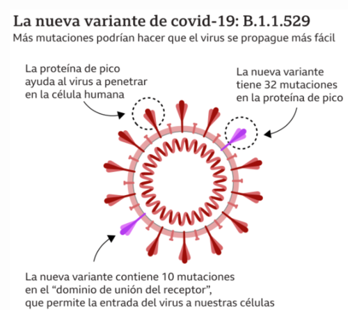 (Foto: Centro de Innovaci&oacute;n y Respuestas a Epidemias de Sud&aacute;frica)