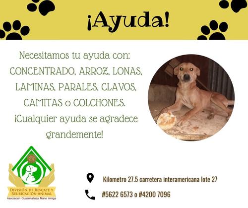 As&iacute; puedes ayudar. (Imagen: Facebook Mano Amiga)