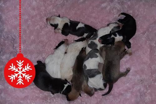 Asociaci&oacute;n guatemalteca Mano Amiga (Foto: Cortes&iacute;a Yolanda Castillo)