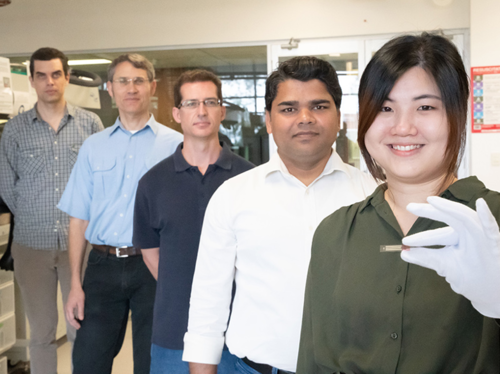 Equipo de investigadores (izquierda a derecha): Dr Daniel Elkington, Prof Paul Dastoor, Dr Nathan Cooling, Dr Pankaj Kumar, Dr Swee Lu Lim. (Foto: Universidad New Castle, Australia)